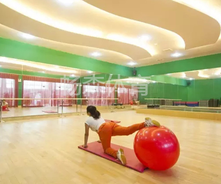 武漢健身木地板 武漢健身木地板